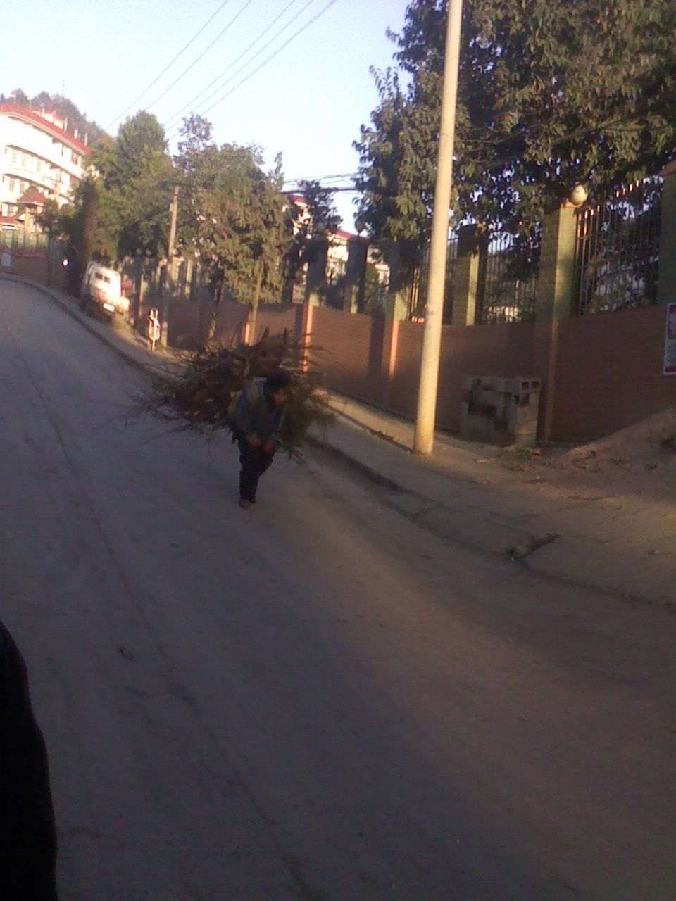 IMG0148A.jpg