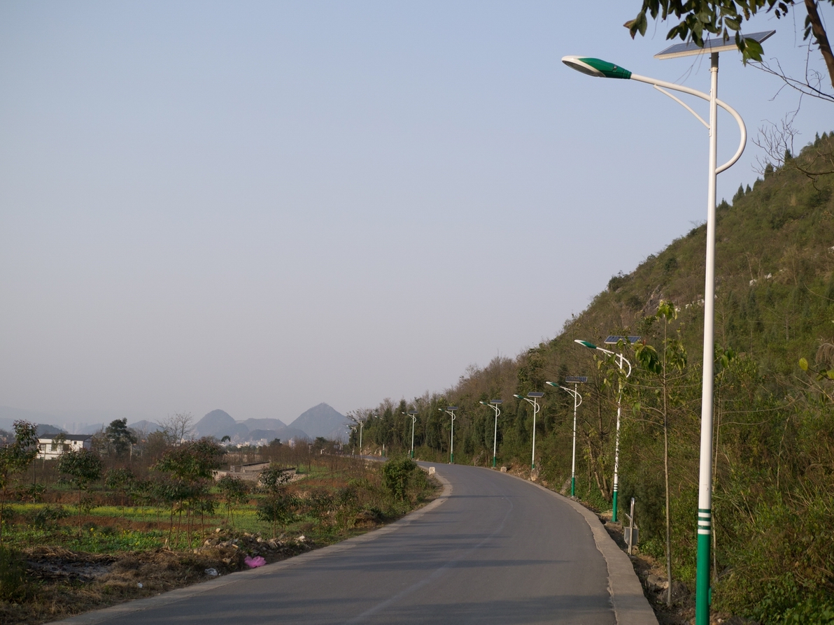 P1030109g.jpg