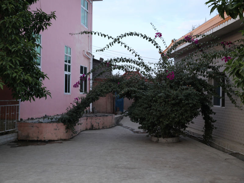 IMG_9906.JPG