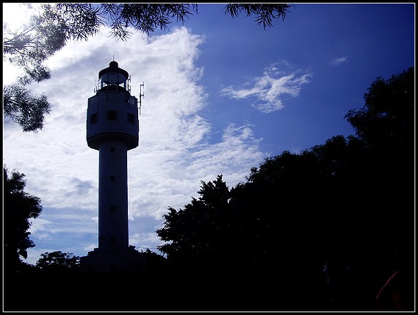 IMGP3230.jpg