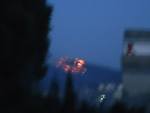 DSC00821_.jpg