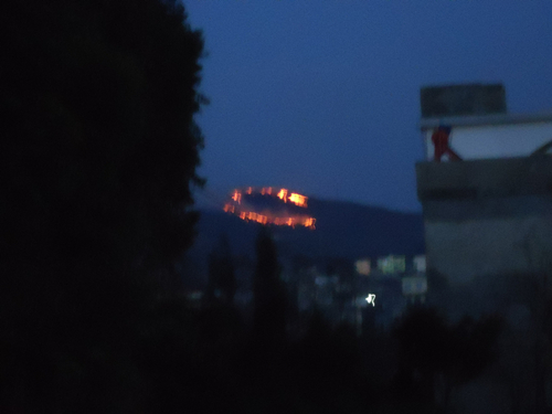 DSC00830_.jpg
