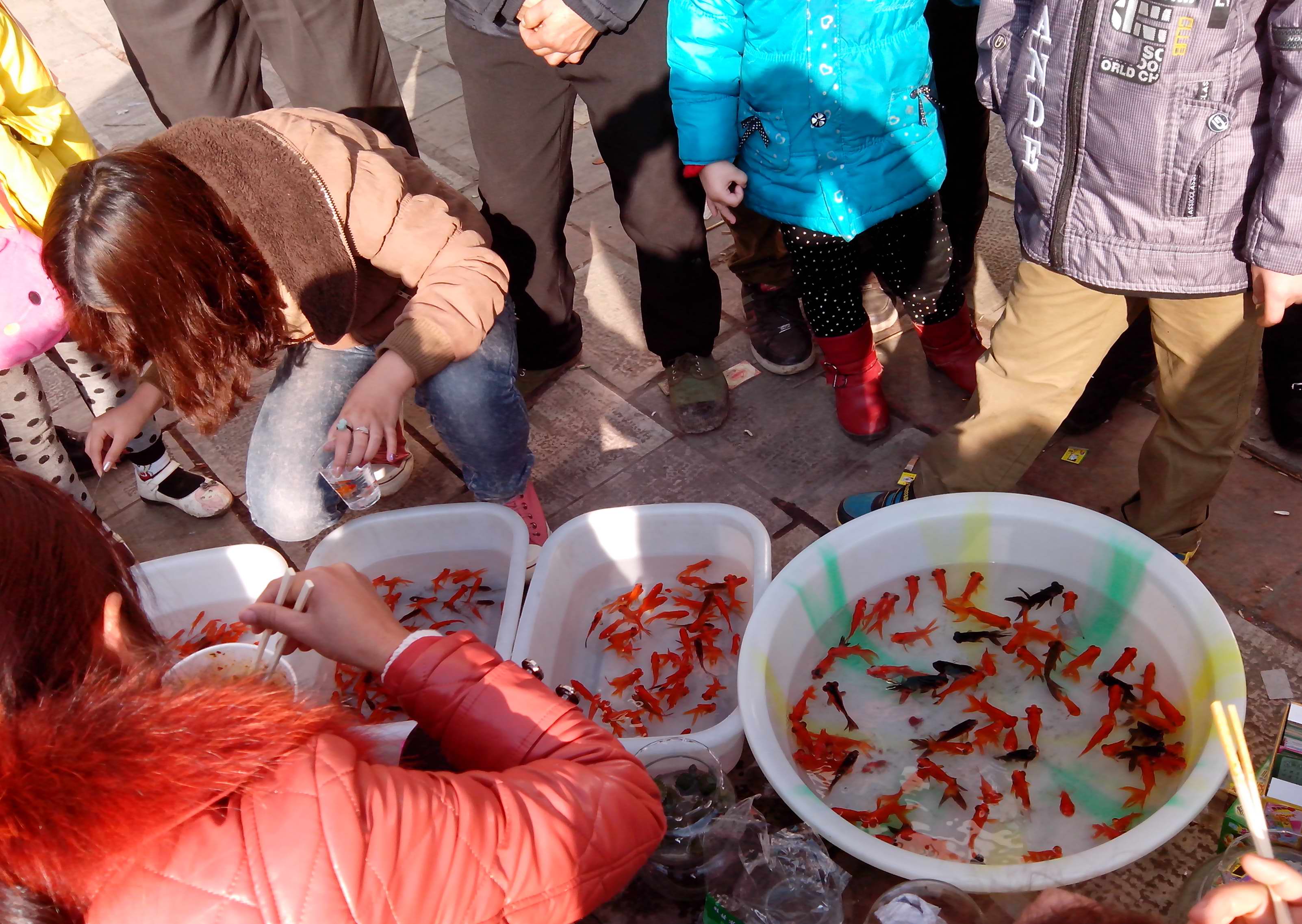 IMG_20130210_163857.jpg