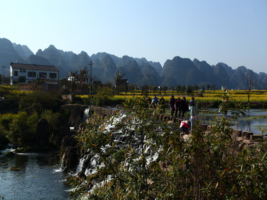 IMG_3070.jpg