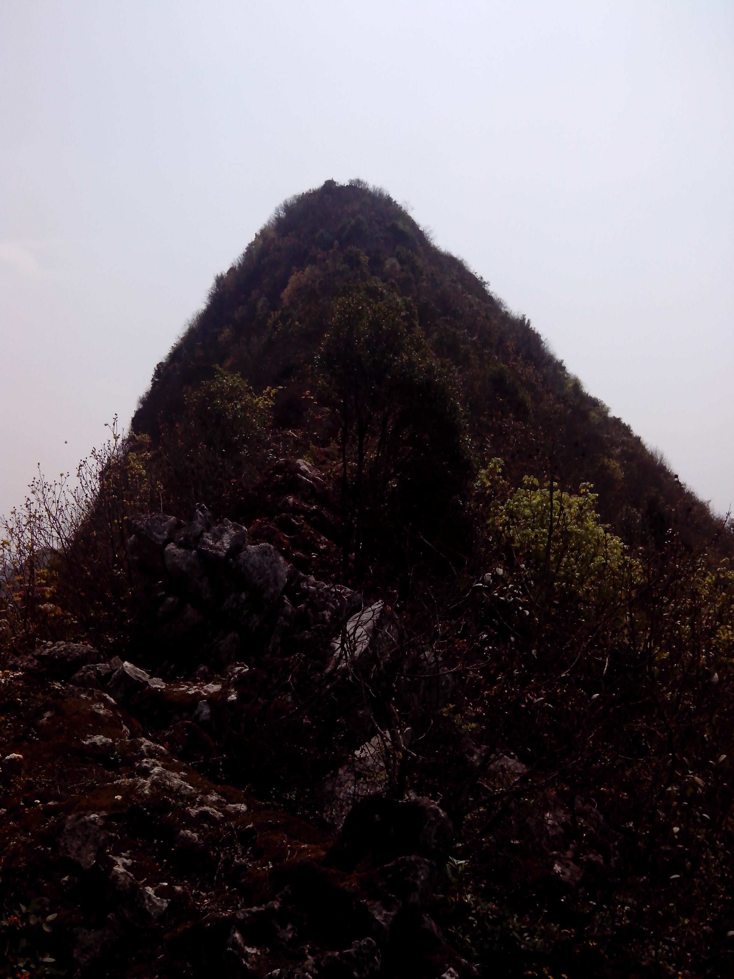 IMG_20130304_135001.jpg