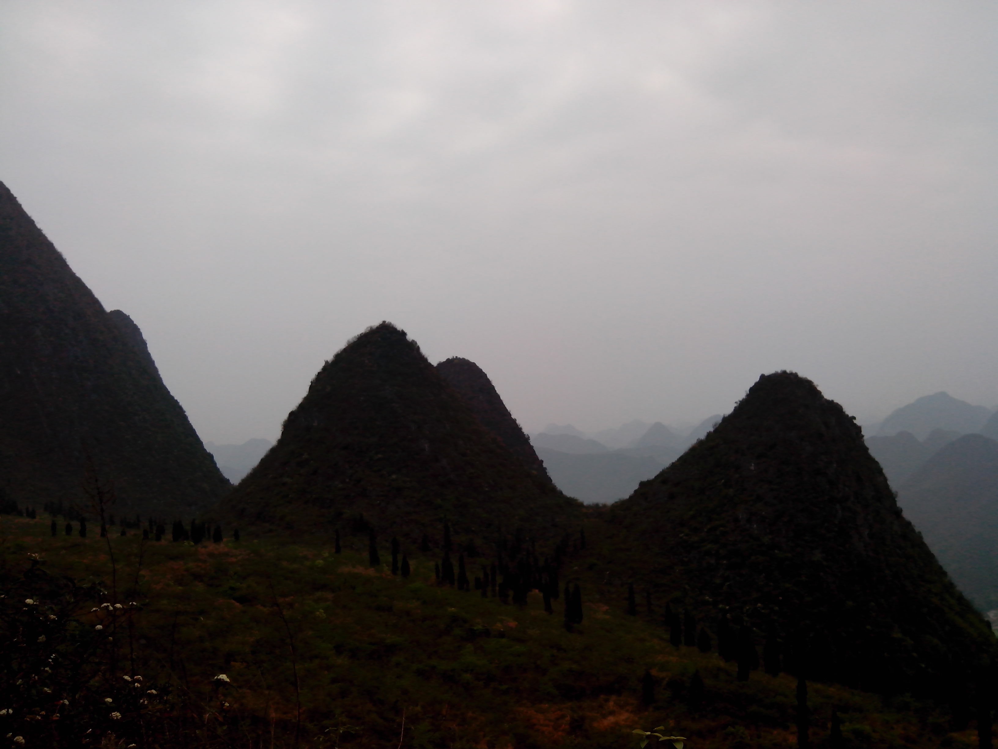 IMG_20130304_155748.jpg