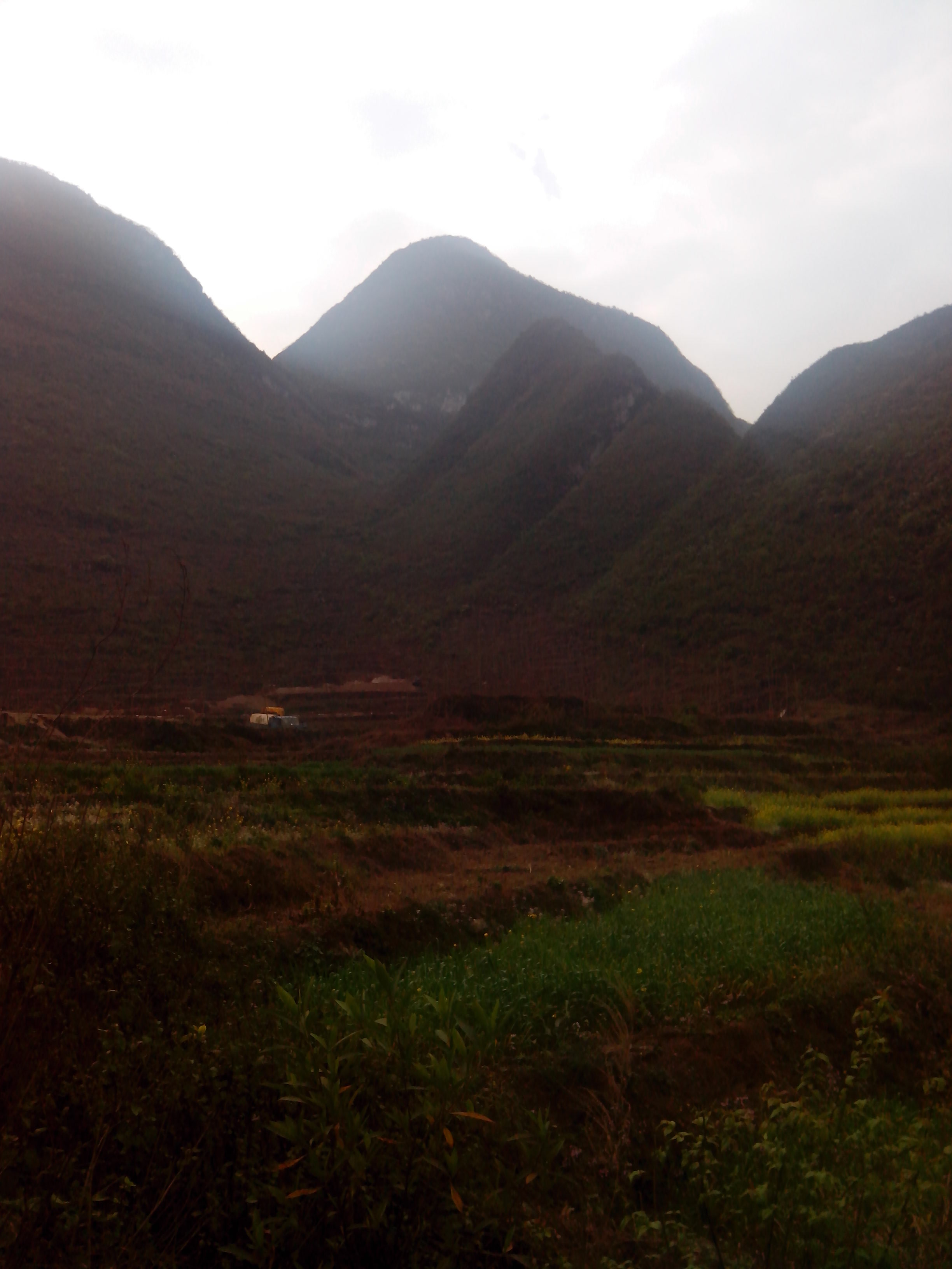 IMG_20130304_163619.jpg