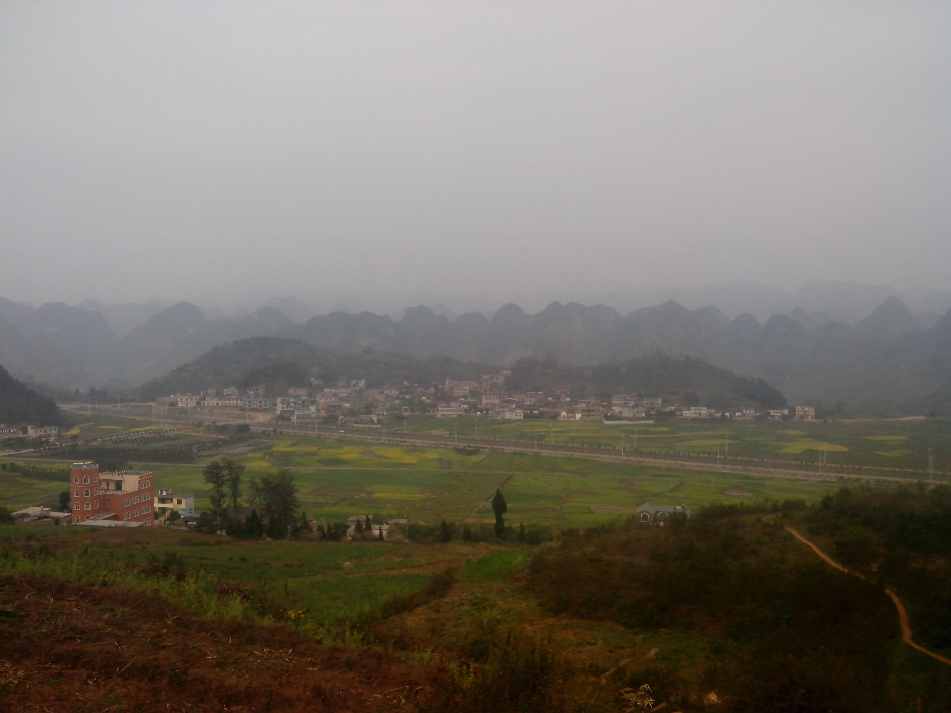 IMG_20130304_163649.jpg