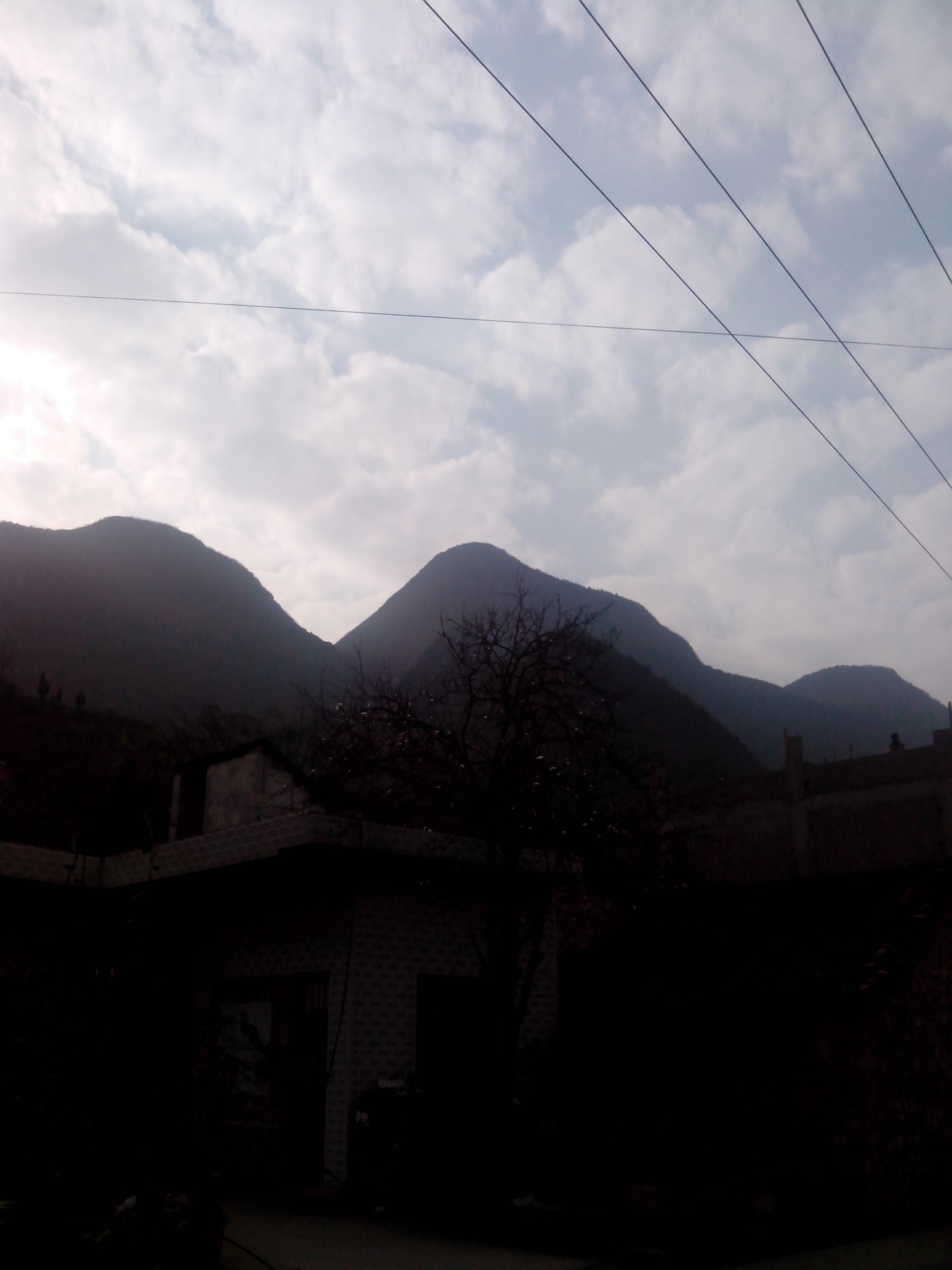 IMG_20130304_164829.jpg