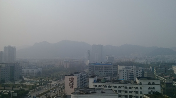 IMG_20130307_110038_.jpg