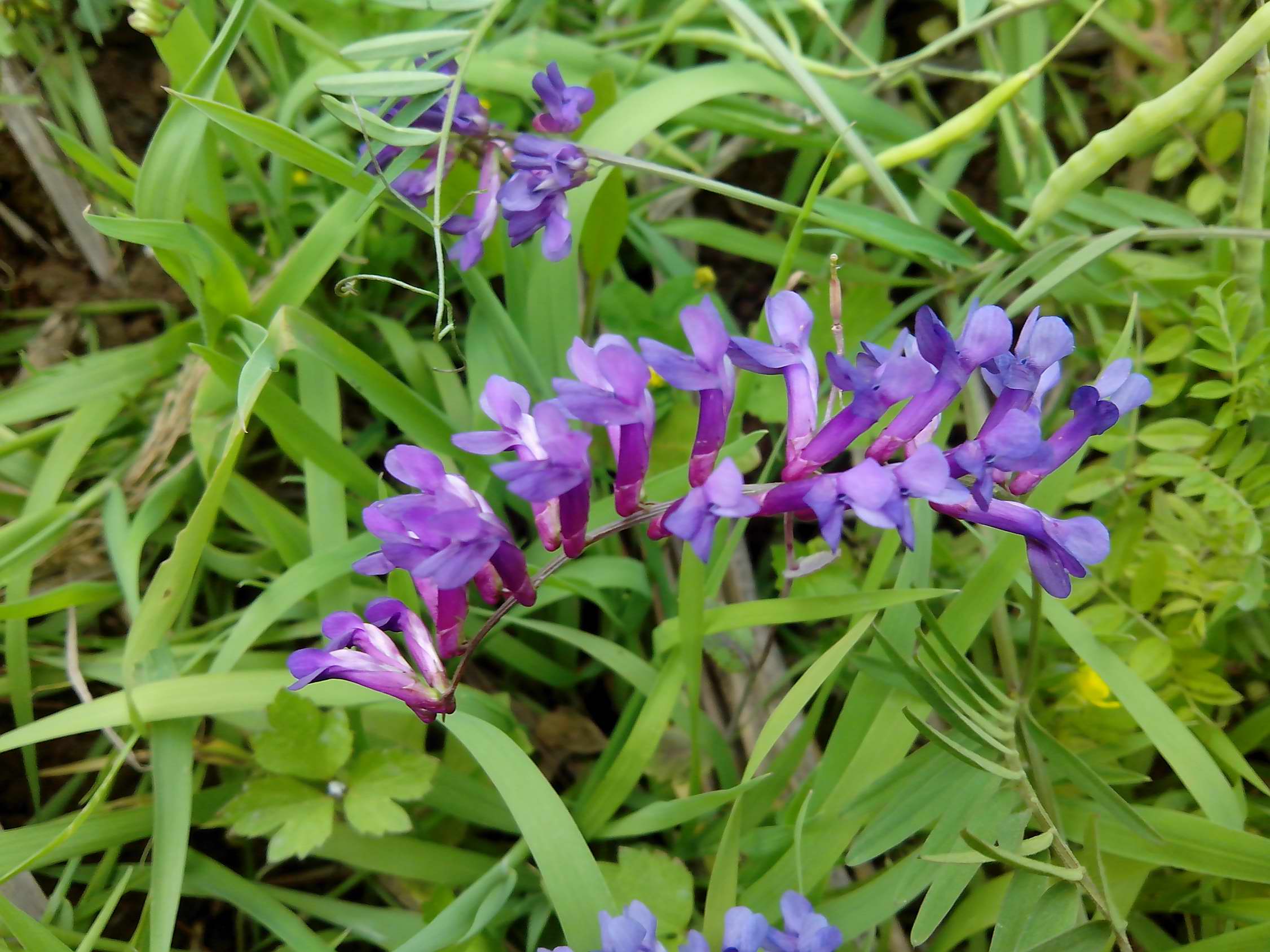 IMG_20130308_160238.jpg