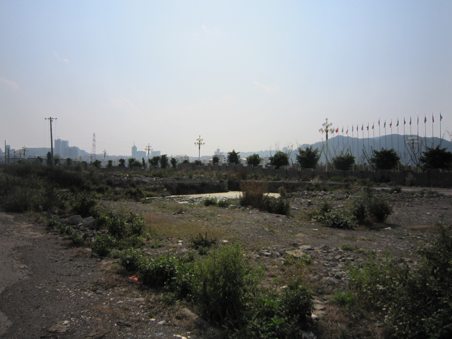 IMG_1977.jpg