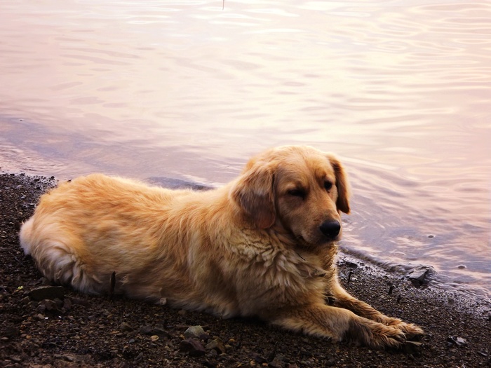 DSCF3950.jpg