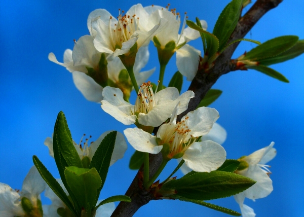 IMG_6581.jpg