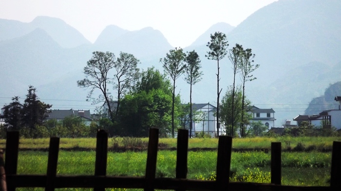 DSCF4406.jpg
