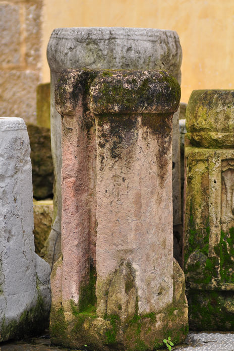 DSC_8239.jpg