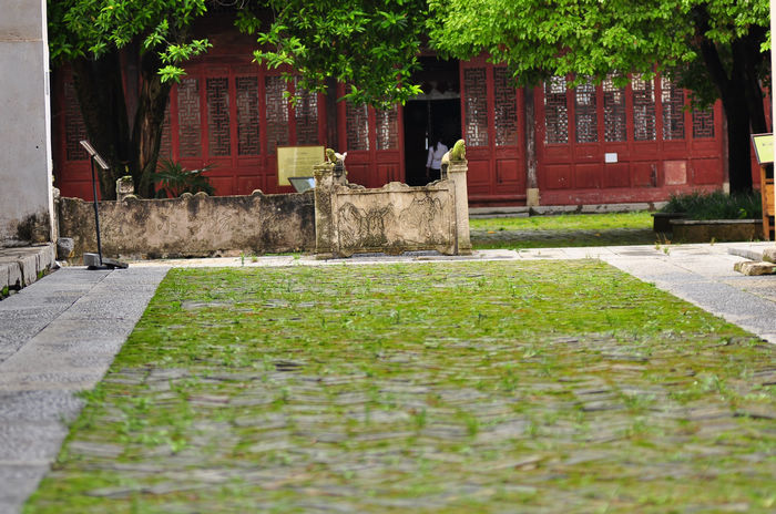 DSC_8237.jpg