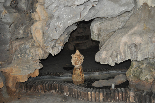 DSC_1713.JPG
