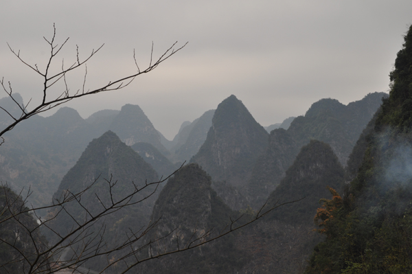DSC_1562.JPG
