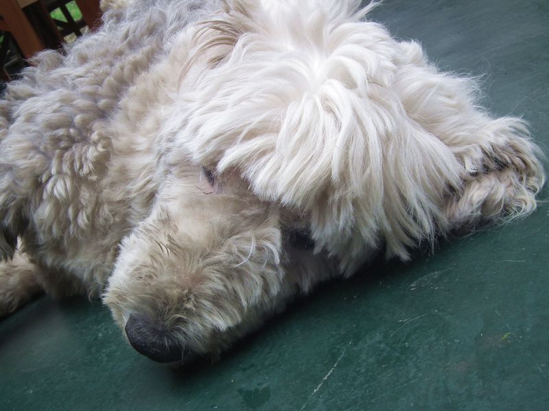 DSCF1794.JPG