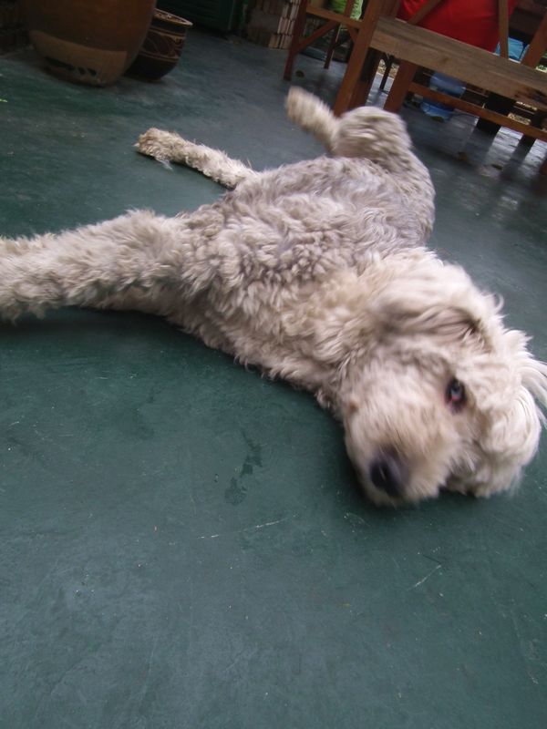 DSCF1793.JPG