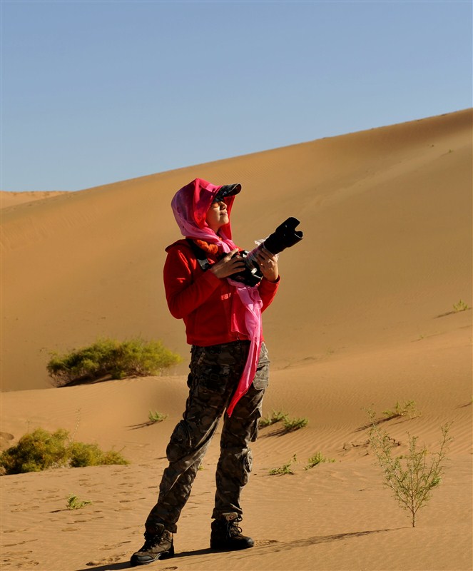 psbe6.jpg