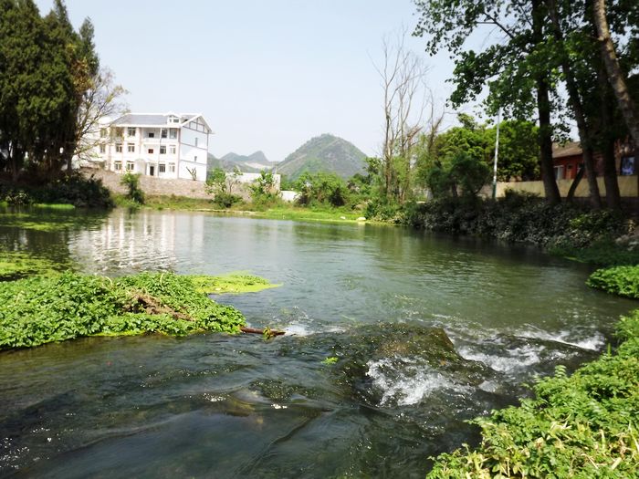 DSCF5616.jpg