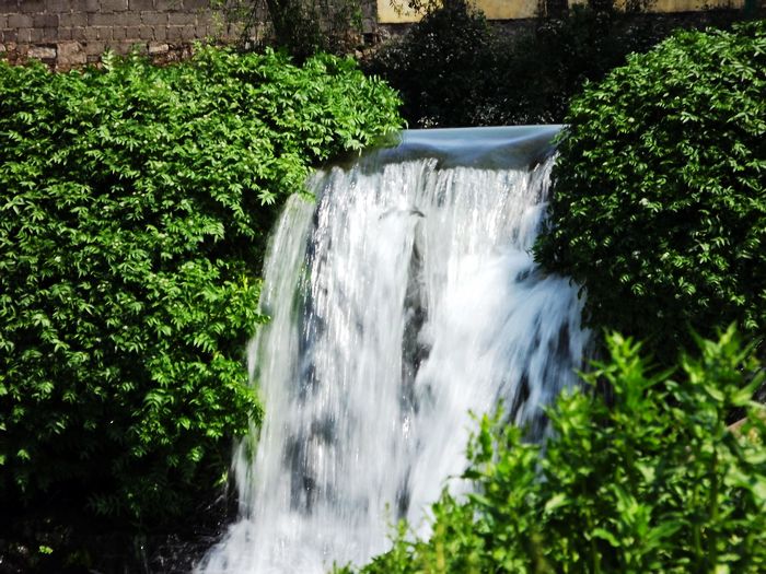 DSCF5626.jpg