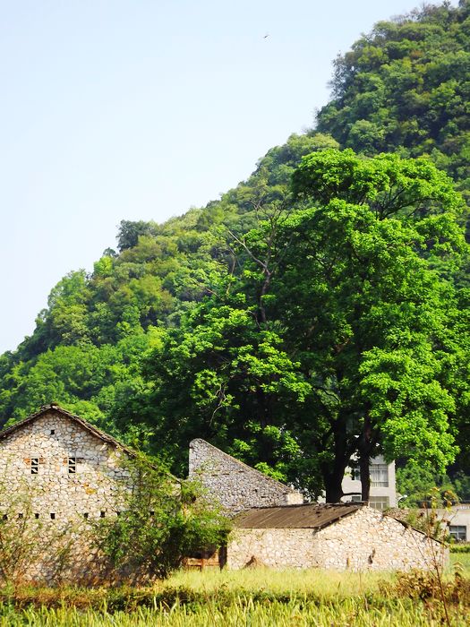 DSCF5695.jpg