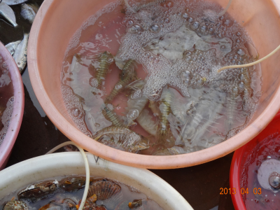 DSC00160.jpg