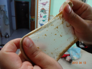DSC00418.jpg