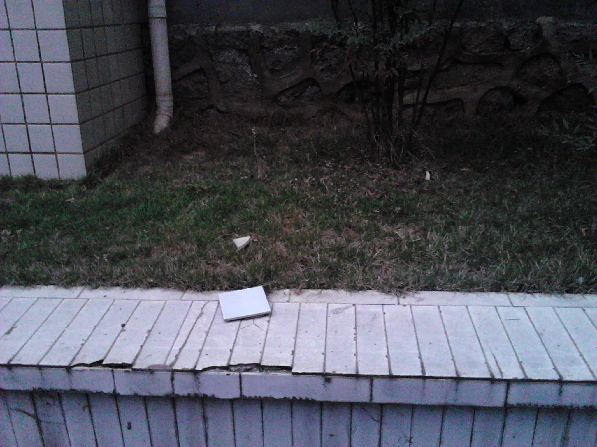 IMG_20130425_192900.jpg