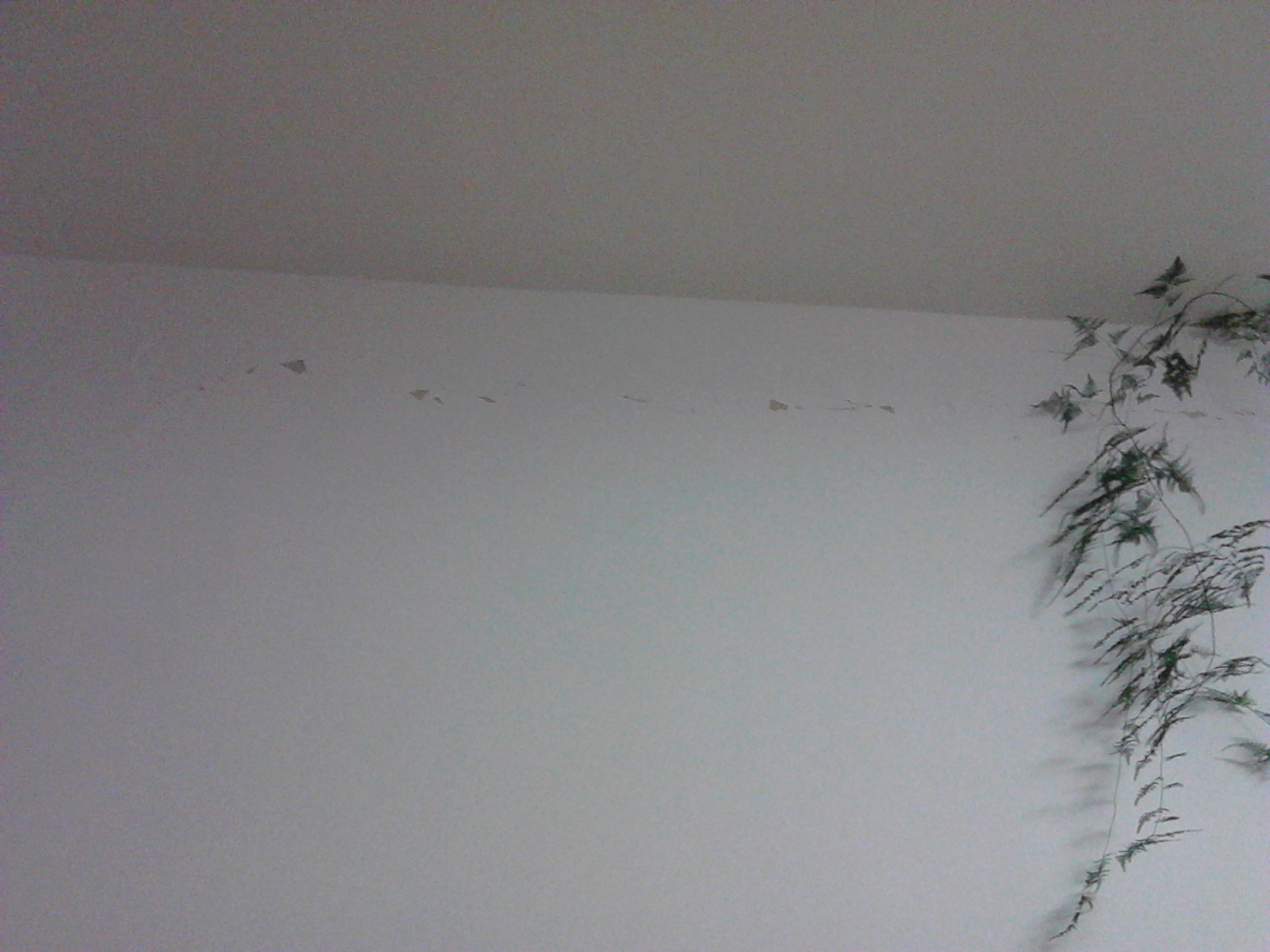 IMG_20130425_201257.jpg