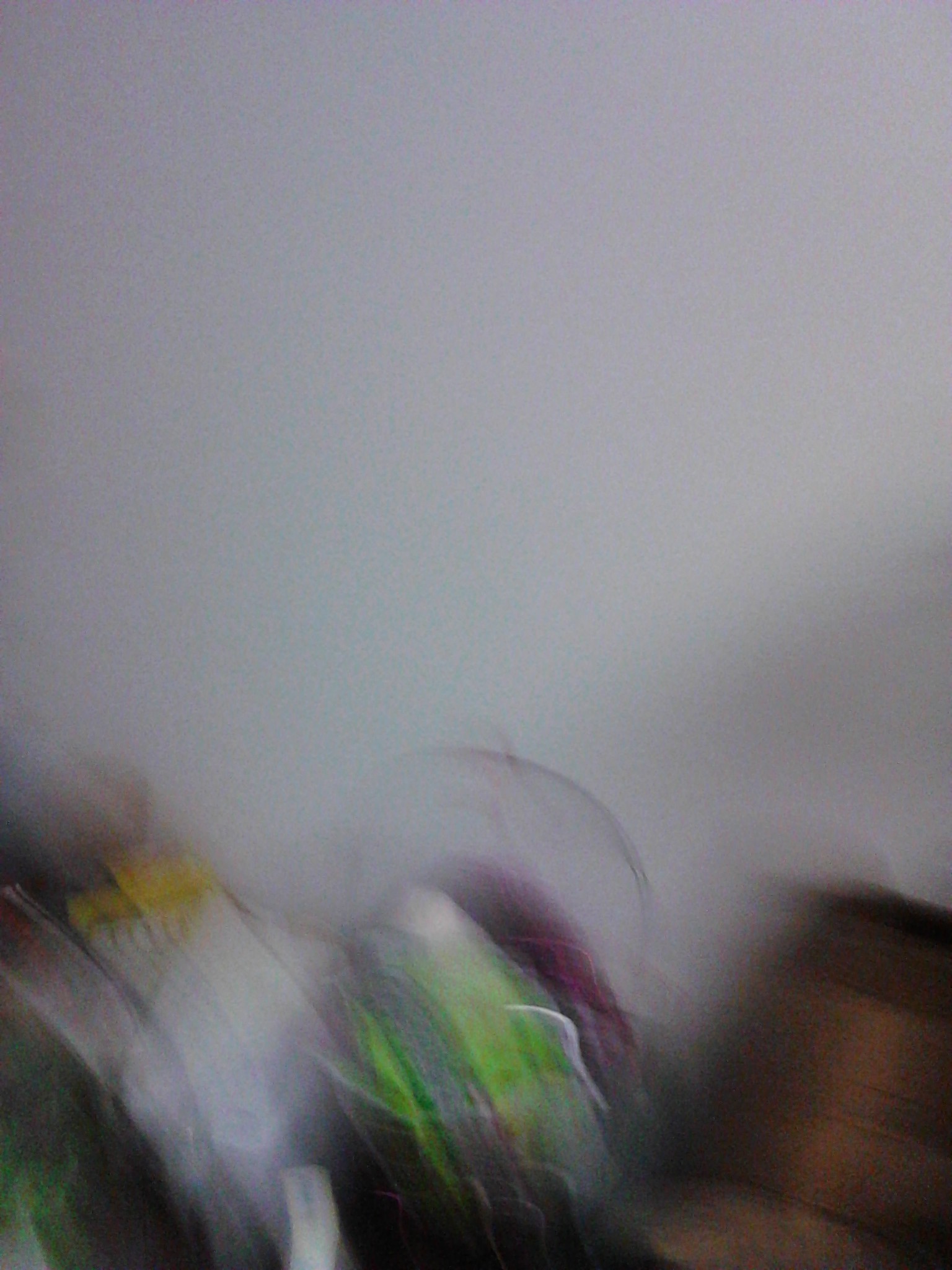 IMG_20130425_201250.jpg