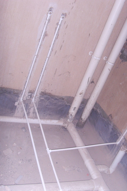 SDC12499_.jpg