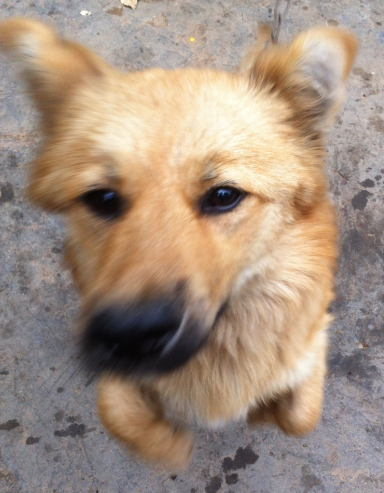 QQͼ20130517183001.png