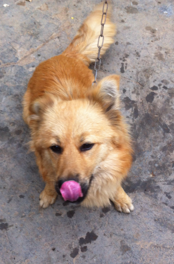 QQͼ20130517182943.png
