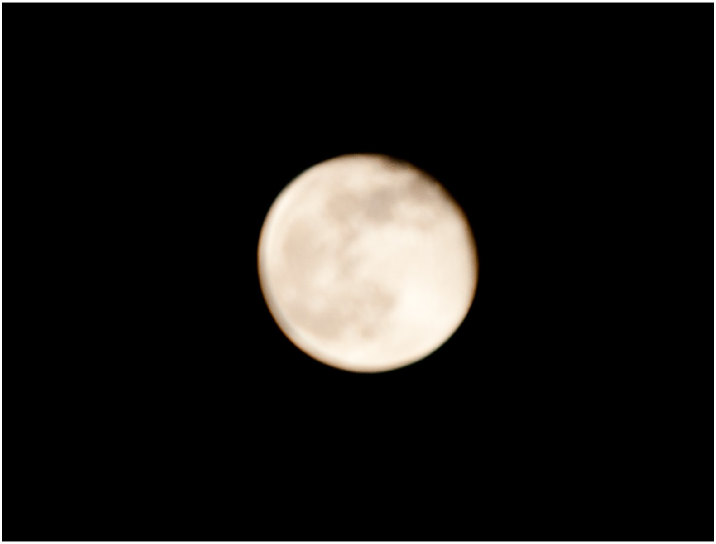 DSC_0566.jpg