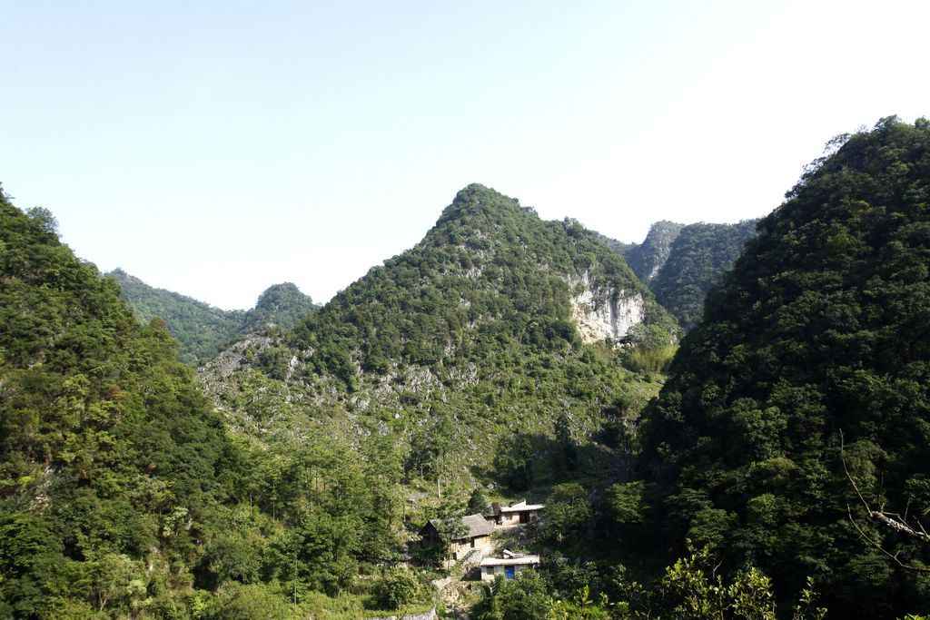 _MG_0018.JPG