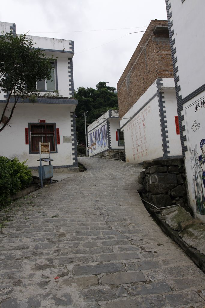 _MG_0088.JPG