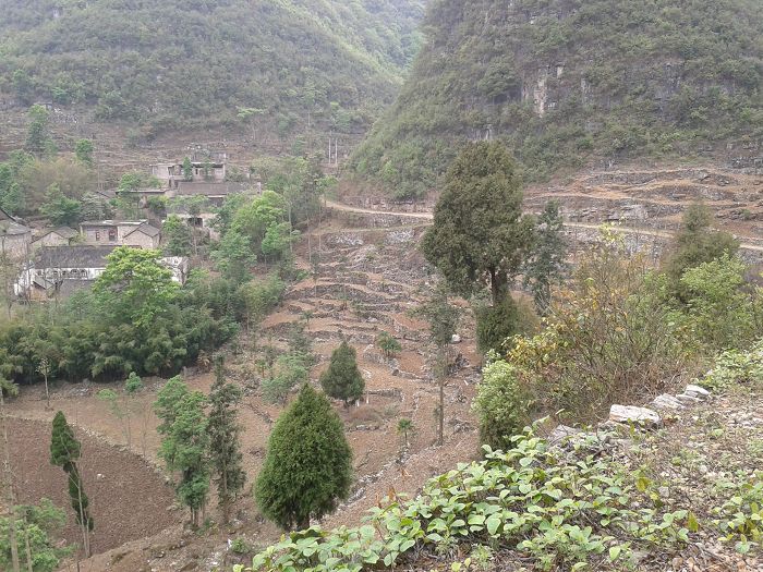 2013-04-13 15.36.27.jpg