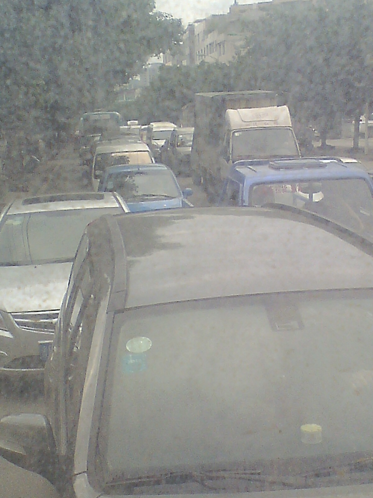 IMG0605184101.jpg