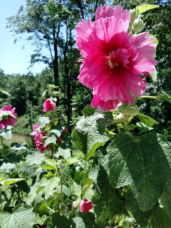 7D44D5A2@0745AD29.894BBD51.jpg