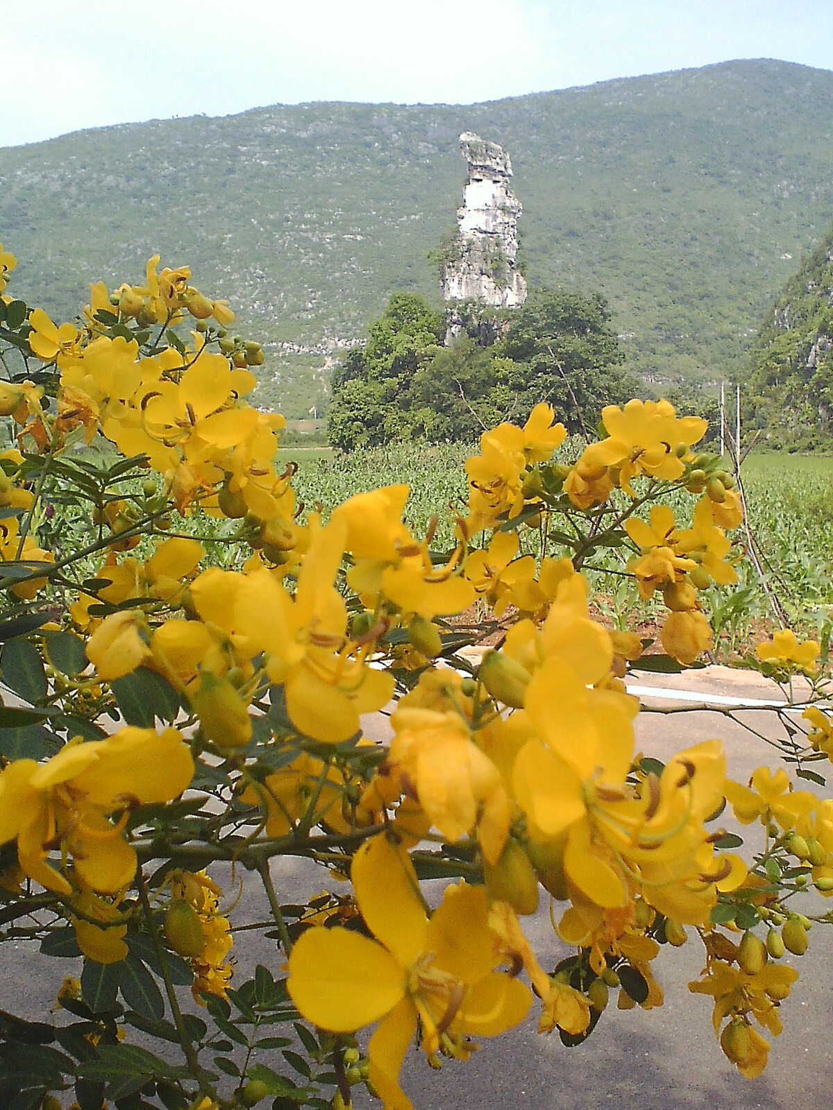 Сġ塱