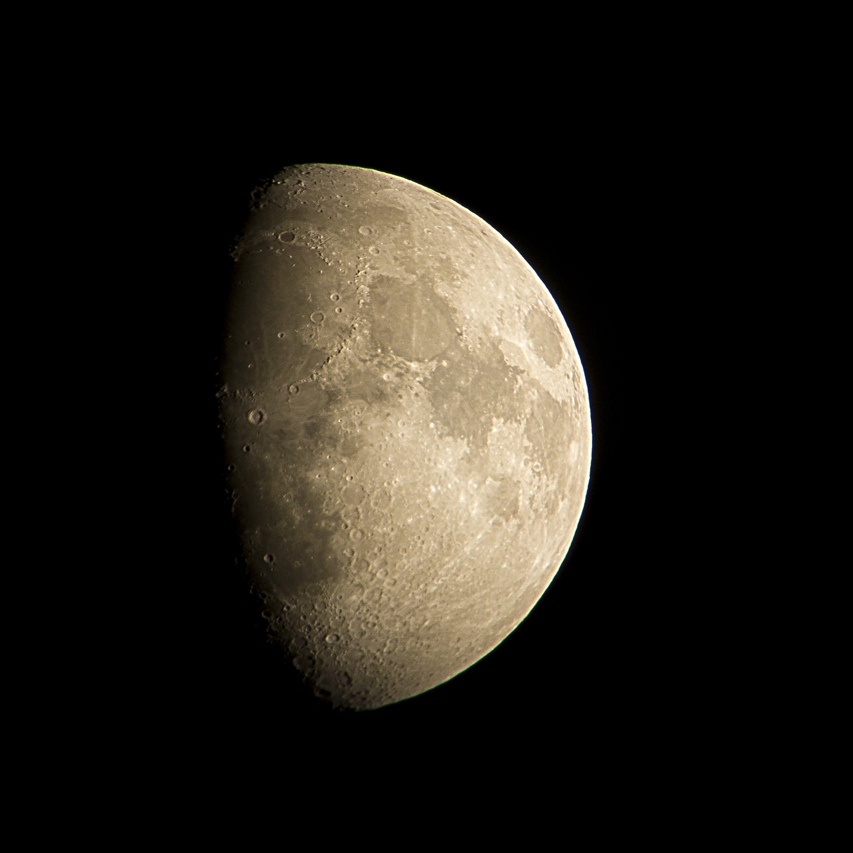 P1050274.jpg