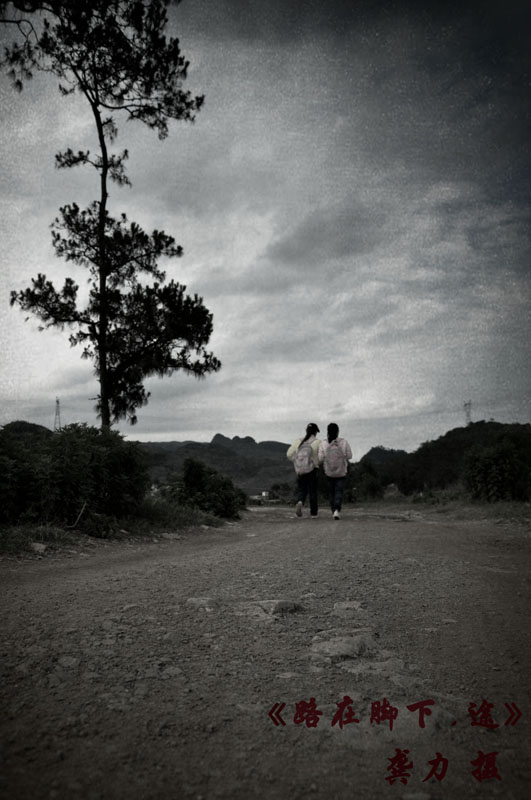 DSC_0288 aaaa.jpg