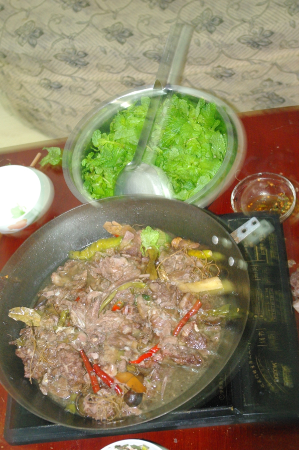 IMGP4672.JPG