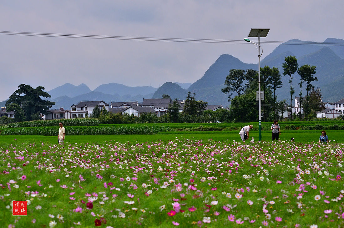 DSC_3174.jpg