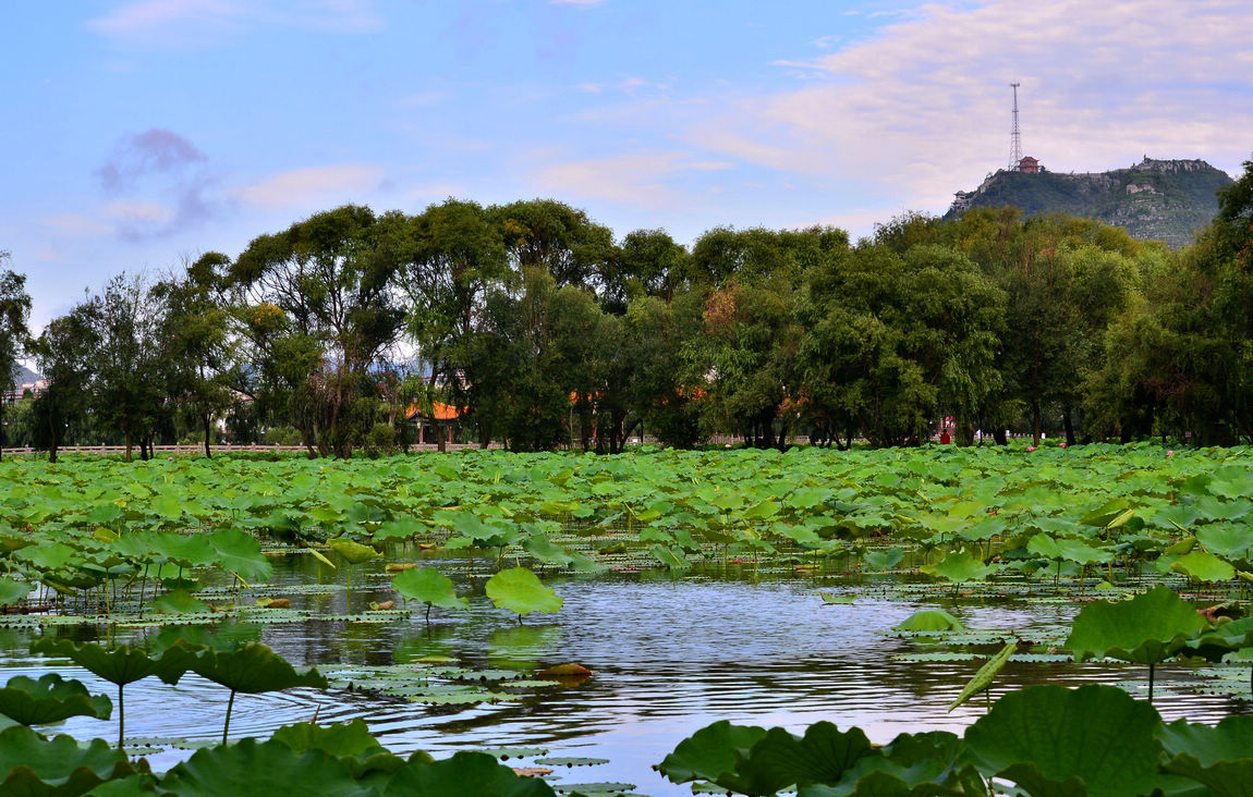 DSC_3045.jpg