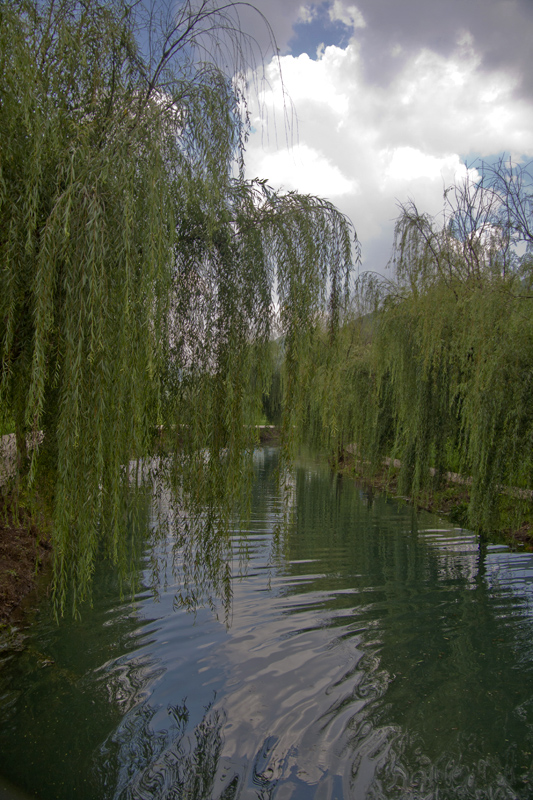_MG_0050.JPG